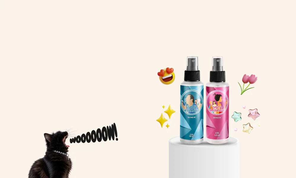 Two spray bottles with colorful designs on a white background, one of which is being sprayed at a cat.